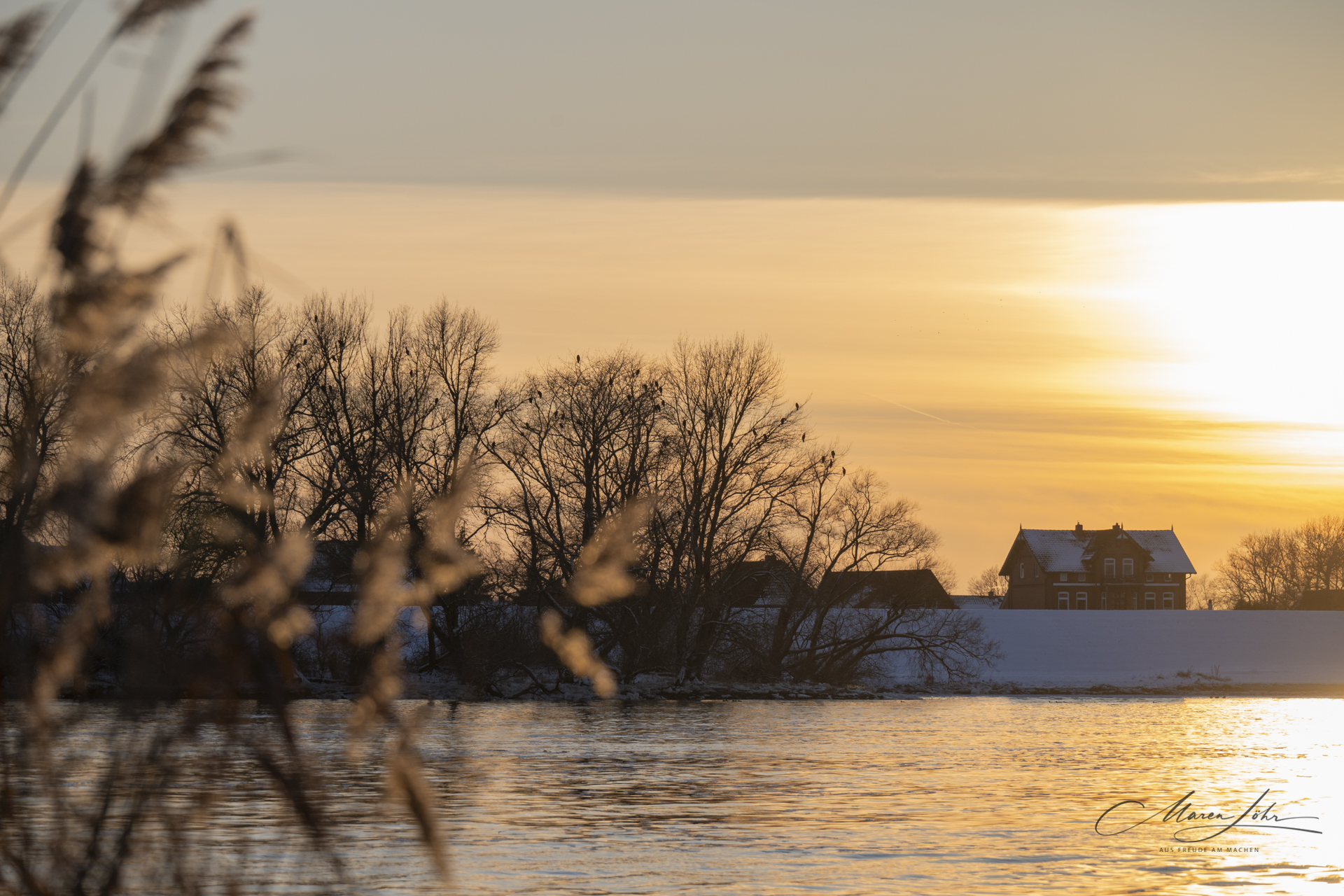 Sonnenuntergang an der Elbe